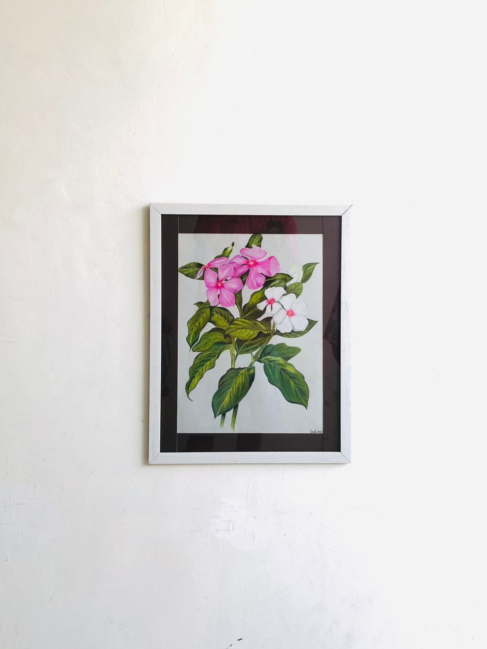 Blush & Ivory: The Vinca Collection